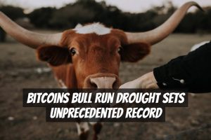 Bitcoins Bull Run Drought Sets Unprecedented Record