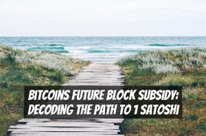 Bitcoins Future Block Subsidy: Decoding the Path to 1 Satoshi