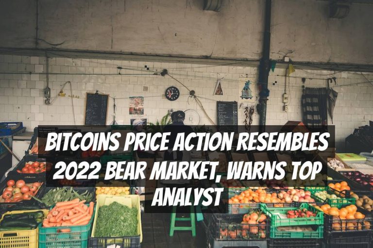 Bitcoins Price Action Resembles 2022 Bear Market, Warns Top Analyst