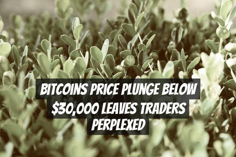 Bitcoins Price Plunge Below $30,000 Leaves Traders Perplexed