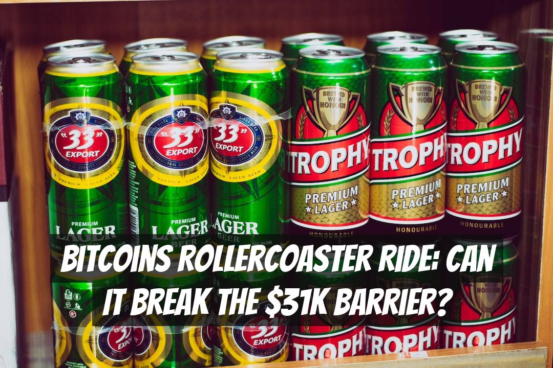 Bitcoins Rollercoaster Ride: Can it Break the $31K Barrier?