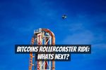 Bitcoins Rollercoaster Ride: Whats Next?