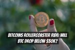 Bitcoins Rollercoaster Ride: Will BTC Drop Below $30K?