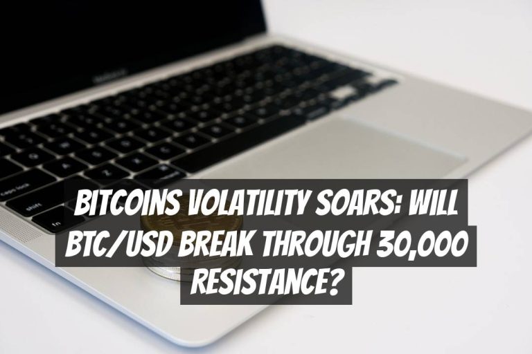Bitcoins Volatility Soars: Will BTC/USD Break Through 30,000 Resistance?