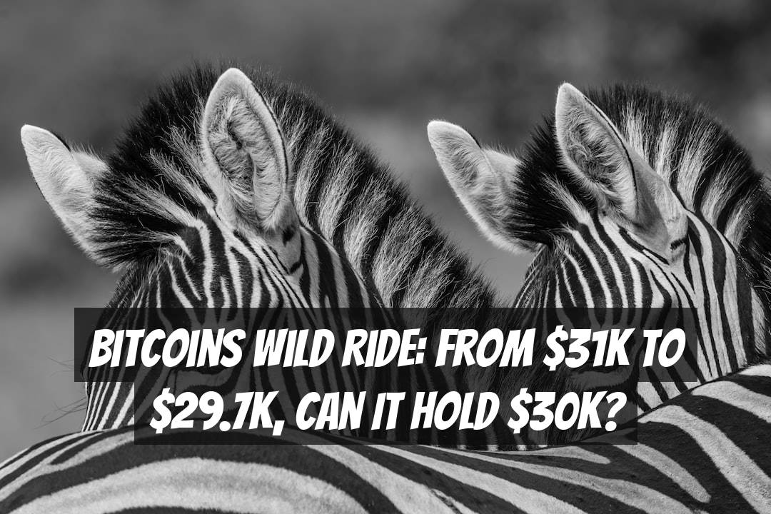 Bitcoins Wild Ride: From $31K to $29.7K, Can It Hold $30K?