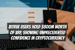 Bitrue Users Hold $800M Worth of XRP, Showing Unprecedented Confidence in Cryptocurrency