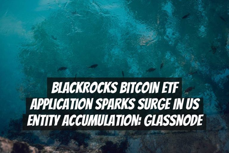 BlackRocks Bitcoin ETF Application Sparks Surge in US Entity Accumulation: Glassnode