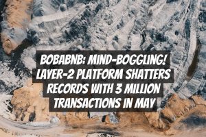 BobaBNB: Mind-Boggling! Layer-2 Platform Shatters Records with 3 Million Transactions in May