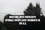 Bursting with Perplexity: Bitwage Drops USDC Payments in the U.S.