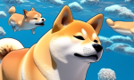 Over 55 Billion in SHIB Held by the Most Unexpected Shiba Inu Whale 😮