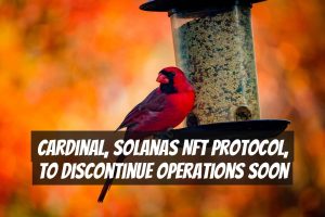 Cardinal, Solanas NFT Protocol, to Discontinue Operations Soon