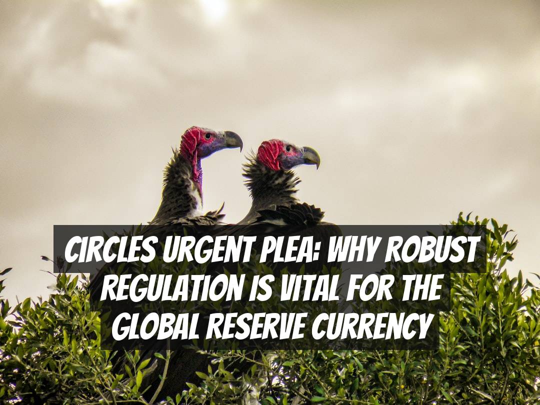 Circles Urgent Plea: Why Robust Regulation is Vital for the Global Reserve Currency