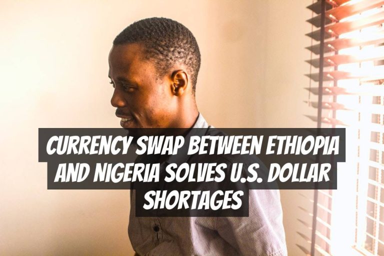 Currency Swap between Ethiopia and Nigeria Solves U.S. Dollar Shortages
