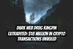 Dark Web Drug Kingpin Extradited: $18 Million in Crypto Transactions Unveiled