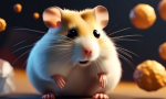 The announcement of the Hamster Kombat Airdrop date has finally been made! 🐹