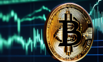 Top 5 Crucial Bitcoin Signals to Be Monitored in Crypto Market Analysis 📈