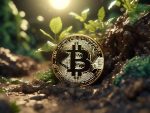 Bitcoin Halving: Environmental Impact Boost 🌿🚀