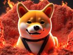 Shiba Inu Burn Rate Plummets 28% 📉 Price Turns Red! 🐕