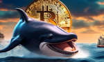 $1.62 Billion of BTC added by Bitcoin Whales as Dip is Bought 🐋