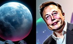 Speculation about Meeting with Elon Musk Ended by Cardano Founder. 🚀