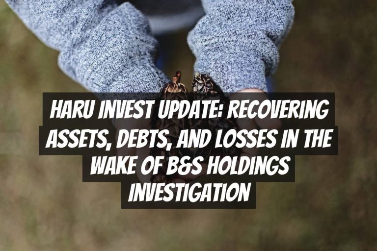 Haru Invest Update: Recovering Assets, Debts, and Losses in the Wake of B&S Holdings Investigation