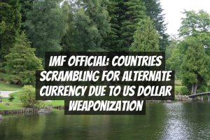 IMF Official: Countries Scrambling for Alternate Currency due to US Dollar Weaponization