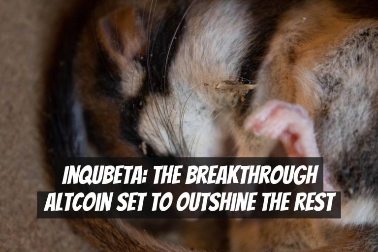 InQubeta: The Breakthrough Altcoin Set to Outshine the Rest