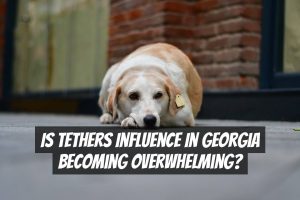 Is Tethers Influence in Georgia Becoming Overwhelming?