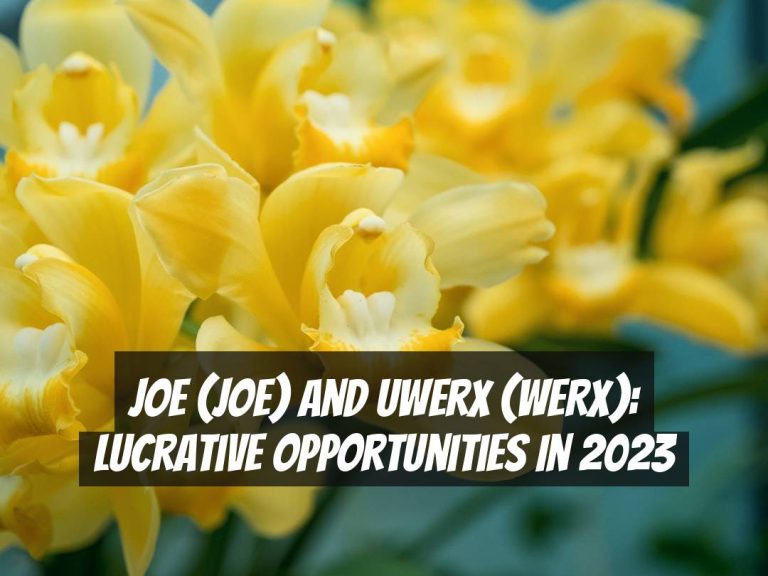 Joe (JOE) and Uwerx (WERX): Lucrative Opportunities in 2023