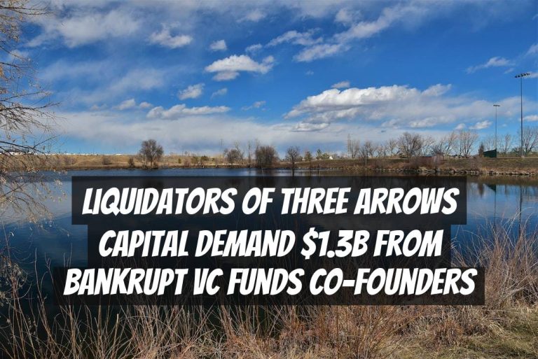 Liquidators of Three Arrows Capital demand $1.3B from bankrupt VC funds co-founders