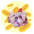 Lola Coin