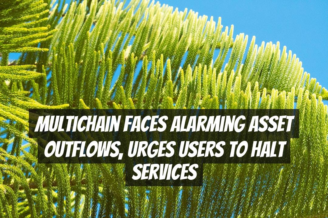 Multichain Faces Alarming Asset Outflows, Urges Users to Halt Services