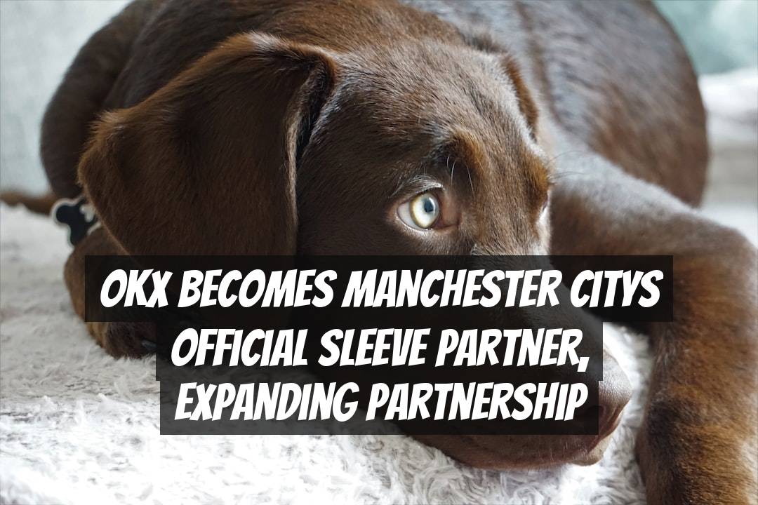 OKX Becomes Manchester Citys Official Sleeve Partner, Expanding Partnership