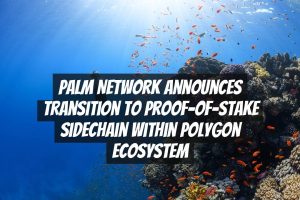 Palm Network Announces Transition to Proof-of-Stake Sidechain within Polygon Ecosystem