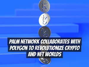 Palm Network Collaborates with Polygon to Revolutionize Crypto and NFT Worlds