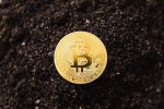 Bitcoin Mining: July 2023 Has Seen Record High Hashrate and Profits