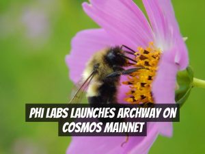 Phi Labs launches Archway on Cosmos mainnet
