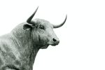 The Next Bullish Movers: Potential Altcoins to Watch