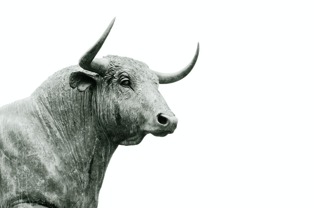 The Sole Two Altcoins Crypto Investors Must Have Prior to the 2025 Bull Run