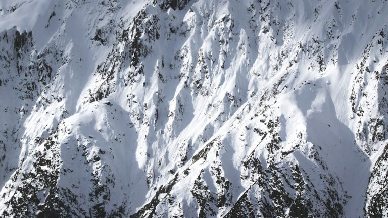 Avalanche Crypto Phenomenon: Users Pay $4M+ in Inscription Fees within Five Days