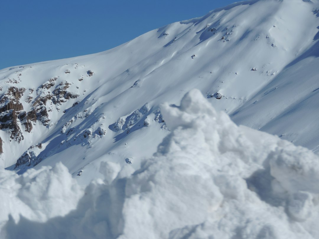 Discover the 9 Most Promising Avalanche Projects in 2024 - Part 2