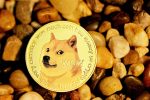 Astrobotic Plans to Literally Send Dogecoin to the Moon