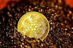 Exploring Binance USD Coin: A Stablecoin Revolution