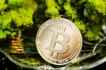 Bitcoin Soars to New Heights as Institutional Investors Ramp Up Purchases on Coinbase