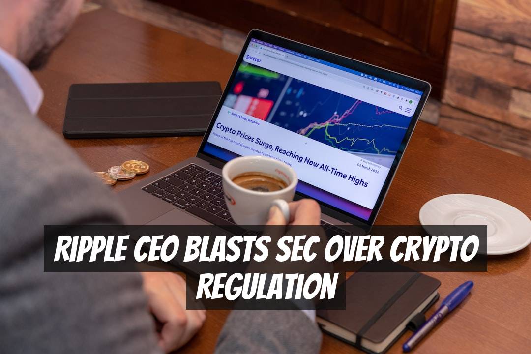Ripple CEO Blasts SEC Over Crypto Regulation