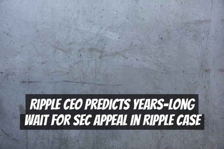 Ripple CEO Predicts Years-Long Wait for SEC Appeal in Ripple Case