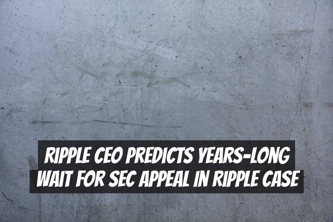 Ripple CEO Predicts Years-Long Wait for SEC Appeal in Ripple Case