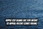Ripple CEO Slams SEC for Intent to Appeal Recent Court Ruling