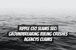 Ripple CEO Slams SEC: Groundbreaking Ruling Crushes Agencys Claims