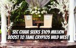 SEC Chair Seeks $109 Million Boost to Tame Cryptos Wild West